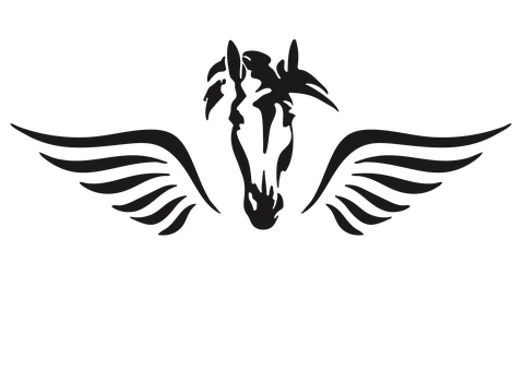Pegasus Consulting & Research