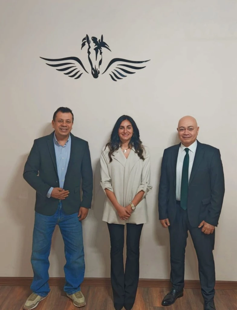 Pegasus team at a company meeting